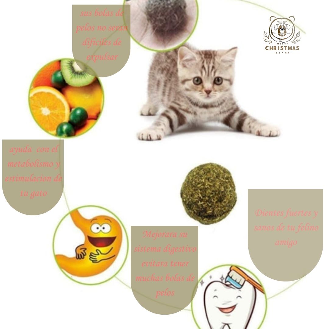 Catnip Para Gatos (bola de hierba gatera)