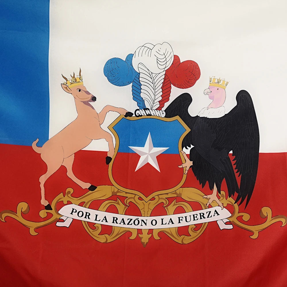 Bandera de Ensign estándar de presidente de Chile, diseño de bandera de publicidad al aire libre, decoración de fiesta deportiva, gráfico personalizado